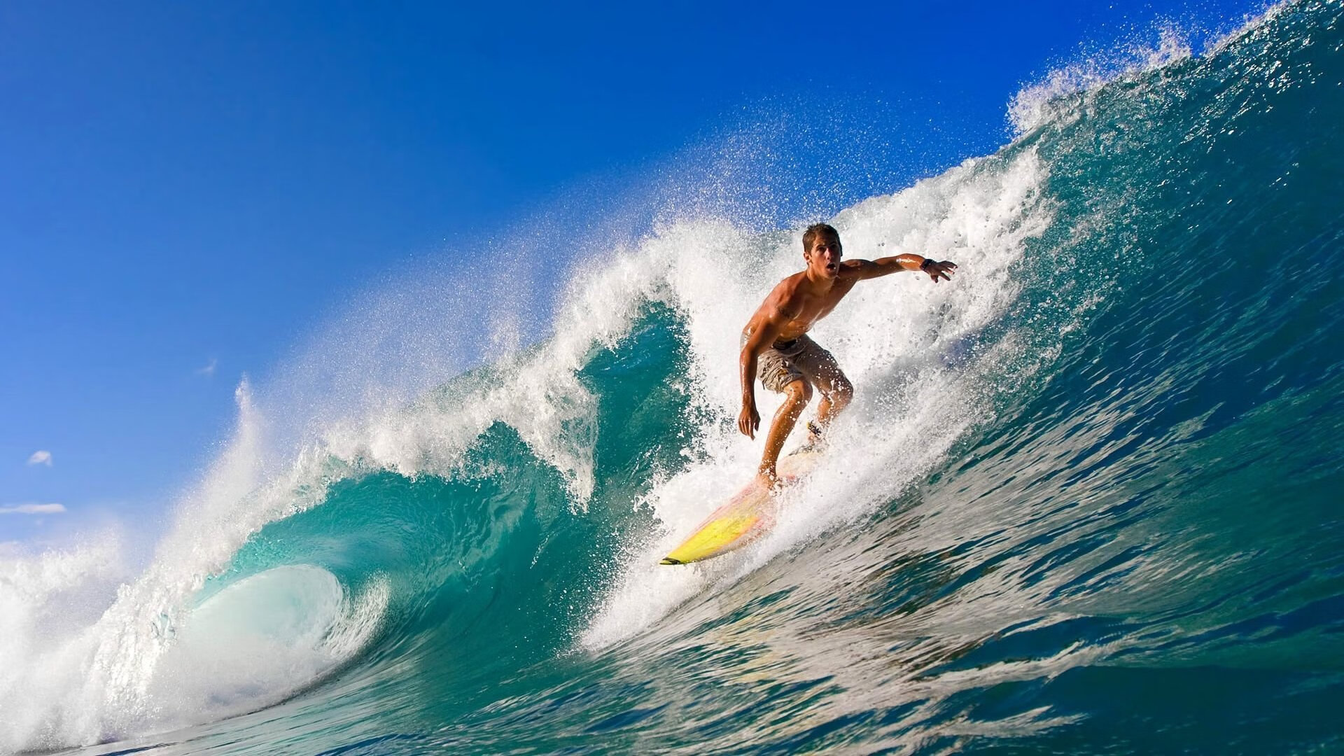 亲临现场：车迷的热情与激情展现